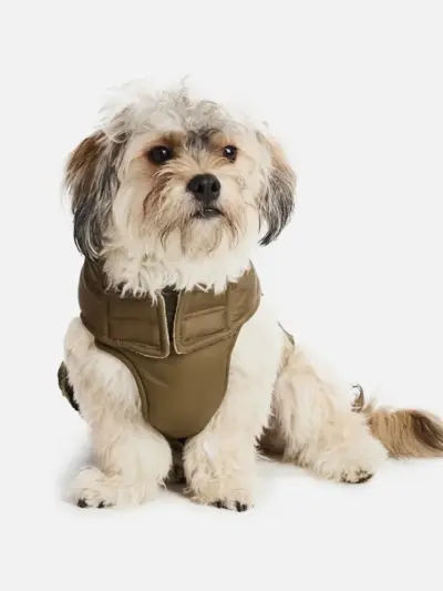 Sherpa Dog Vest—Olive